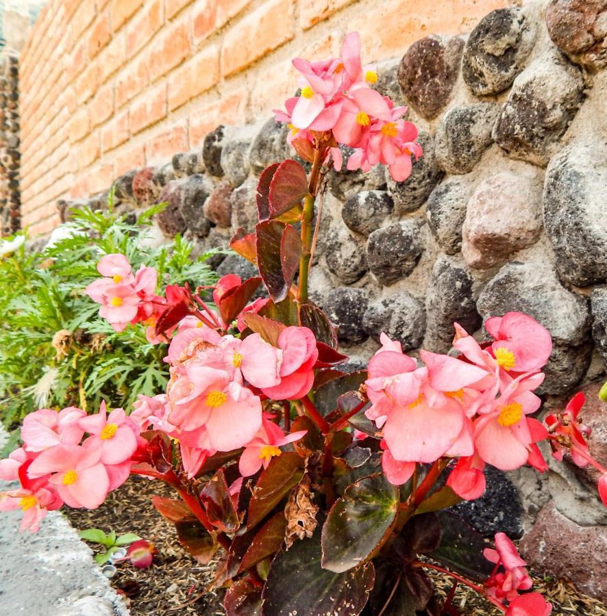 Hotel Pampa Garden Quillullaco Zewnętrze zdjęcie