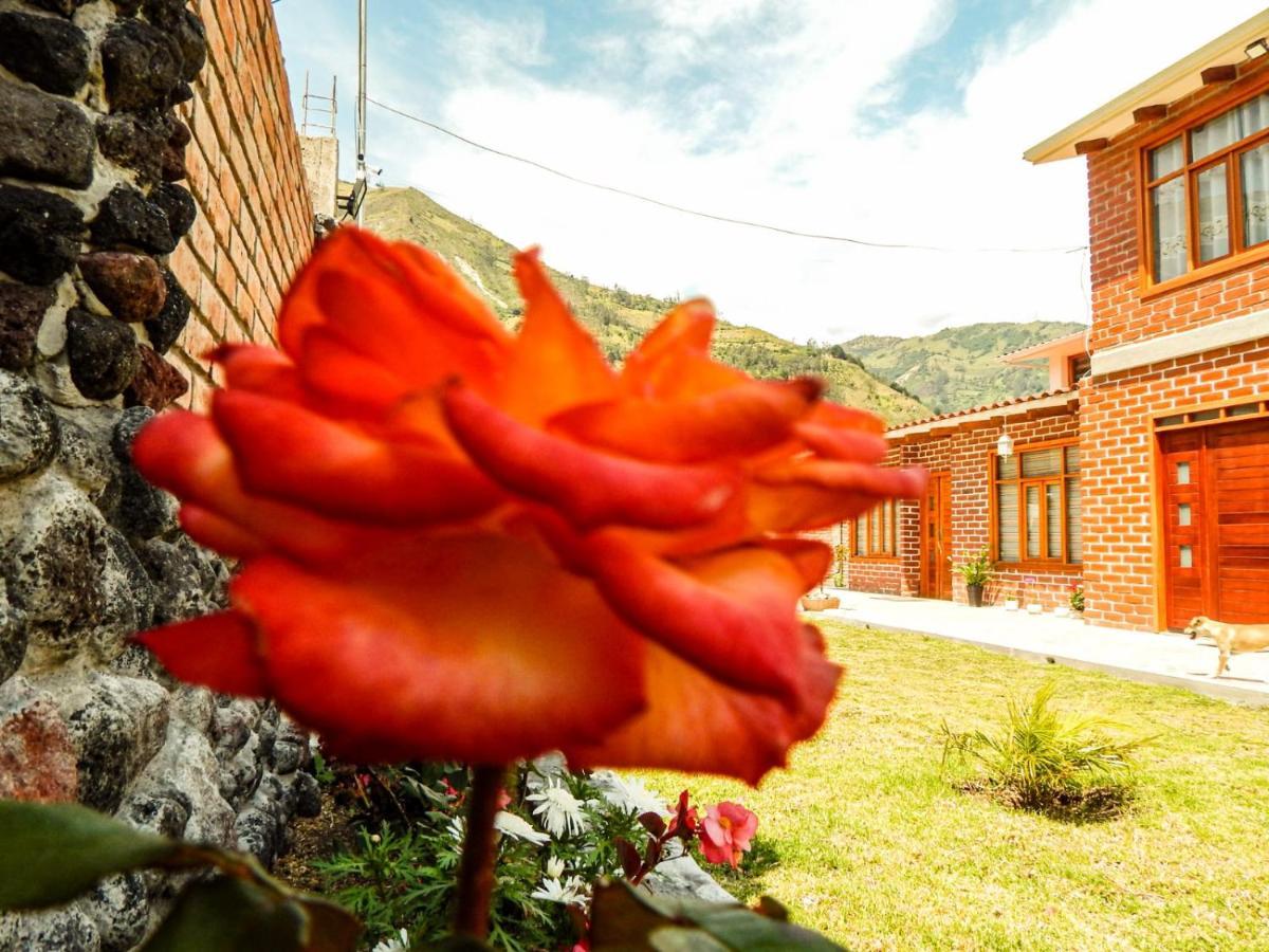 Hotel Pampa Garden Quillullaco Zewnętrze zdjęcie